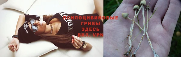 не бодяженный Абаза