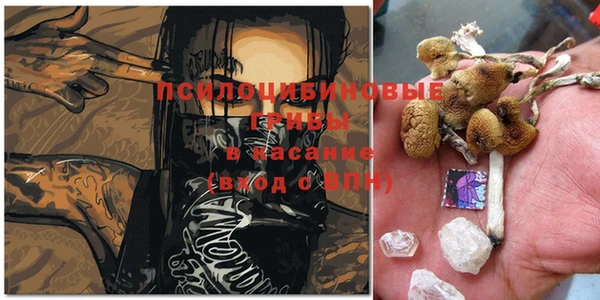 не бодяженный Абаза