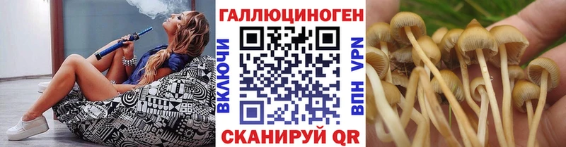 где можно купить наркотик Шали Галлюциногенные грибы Cubensis